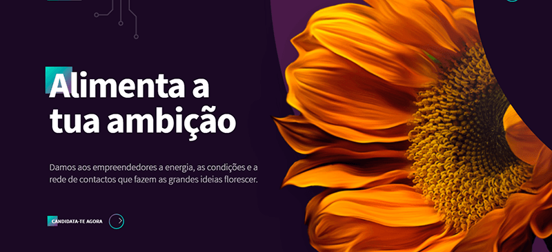 CeNTI-O projeto tem como objetivos principais: