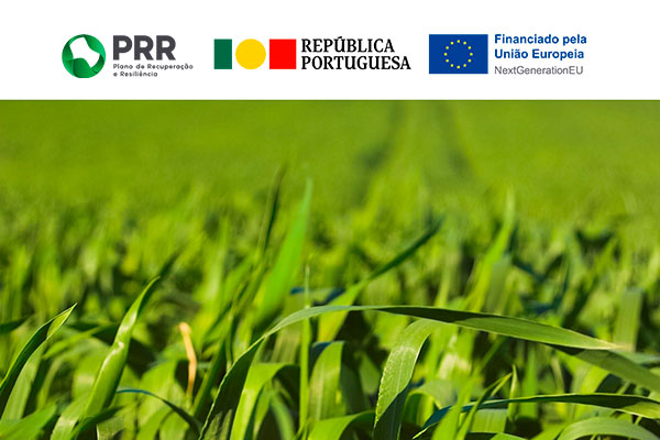 CeNTI-CeNTI participa na promoção de políticas sustentáveis na área dos plásticos 